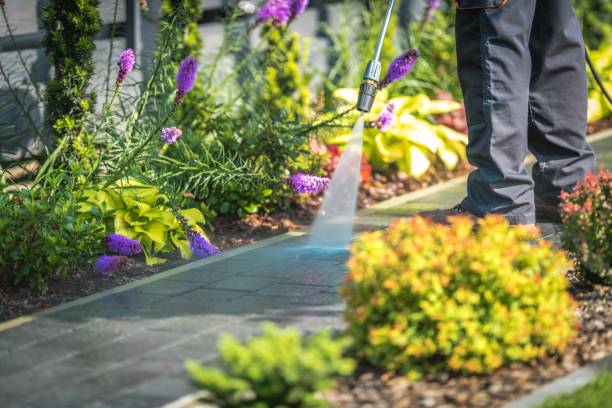 Best Gutter Cleaning  in Muncy, PA