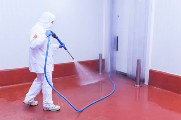 Best House Exterior Washing  in Muncy, PA